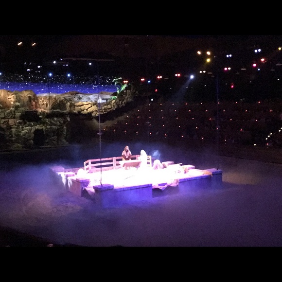 Meet your Posher, Tammy - Picture 1 of 1